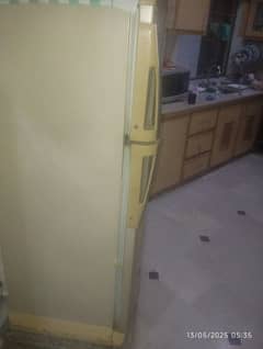 PEL Pridge 5 ft