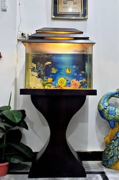wooden aquarium