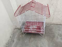 birds cage