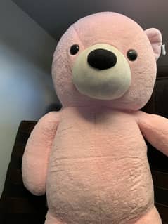 Teddy