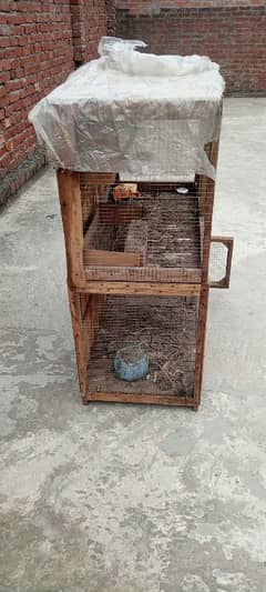 hen cage 2 posan