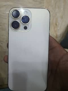 14 pro max hk model