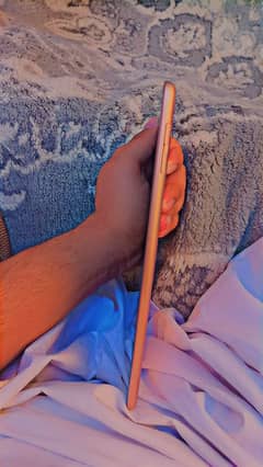 Ipad Mini 5