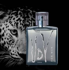 Citrus Splash Perfume