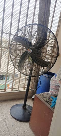 Royal Padestal Fan