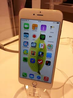 iPhone 7 plus 128 GB PTA approved my WhatsApp 0330=17=50=780