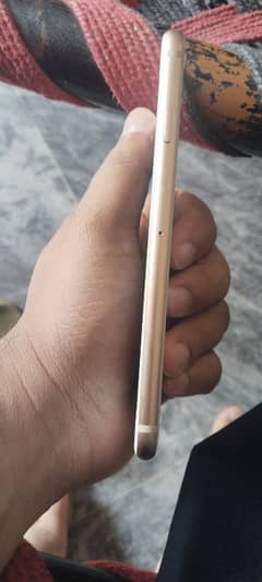 I phone 8