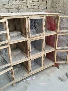 kabootar cage for sale