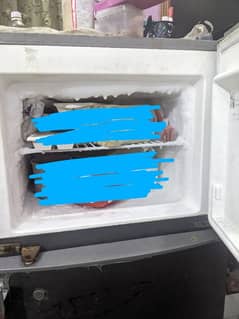 Electrolux Fridge Small