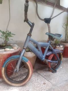 Best baby cycle in working condition.
