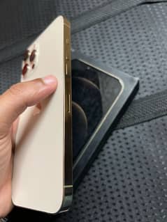 Iphone 12 pro max pta approved
