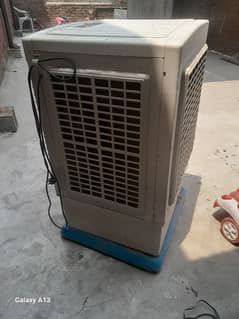 ac 220 coller 1 amp load
