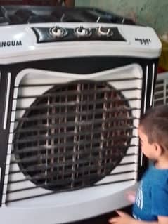 Air cooler