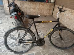 for sale Phoenix original cycle