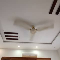 Fancy Ceiling Fans