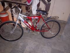 Sports - Road Bicycle