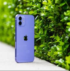 IPHONE 12 PTA APPROVED 256gb NEW