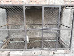 hens cage