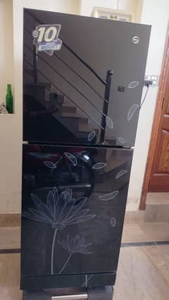 PEL Glass Door Refrigerator