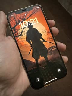 Iphone 12 pro 10/10