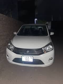 Suzuki cultus