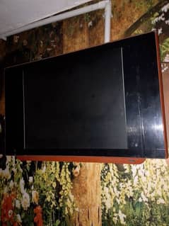 LcD 24