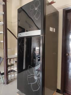 Full size orient fridge with front glass door.