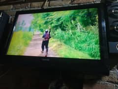Toshiba 32inch led semple h 1green line h