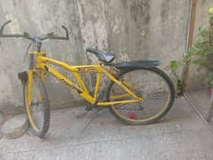 bicycle