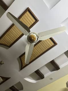 pak fan  10 piece