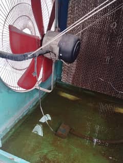 Air Cooler