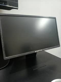 75Hz Sceptpe 20 inch Gaming Monitor
