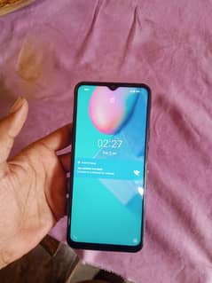 vivo