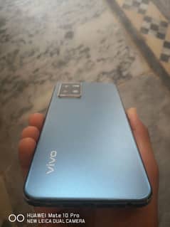 vivo