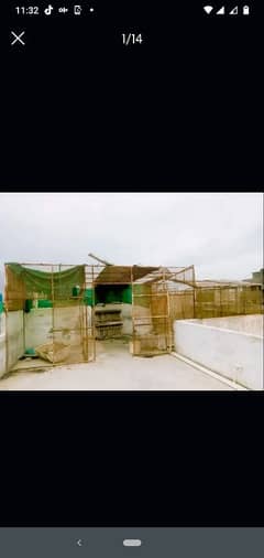 Master Cage 12/24