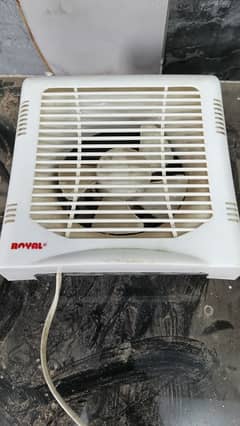 royal ceiling fan
