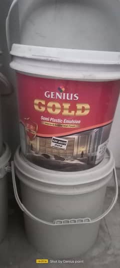 genius paint company