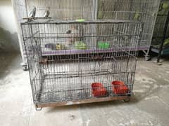 Cage