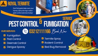 Termite Control Lahore- Fumigation- Pest Control- Deemak- Dengue Spray