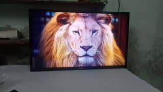 Ecostar Smart led 32"
