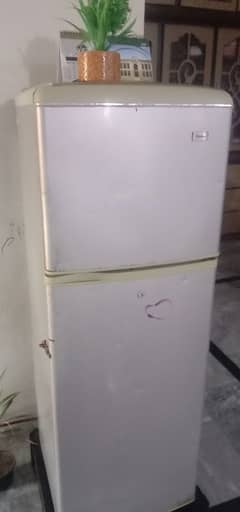 haier