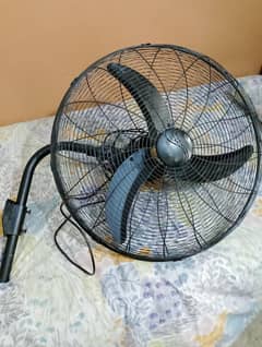 jambo size Pak Fan