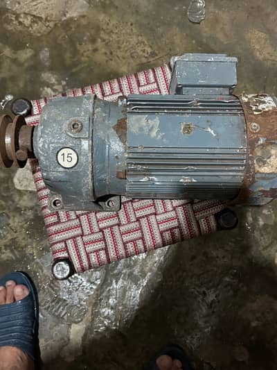 gear motor