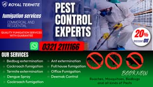 Termite Control Lahore- Fumigation- Pest Control- Deemak- Dengue Spray
