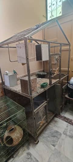 parrots cage