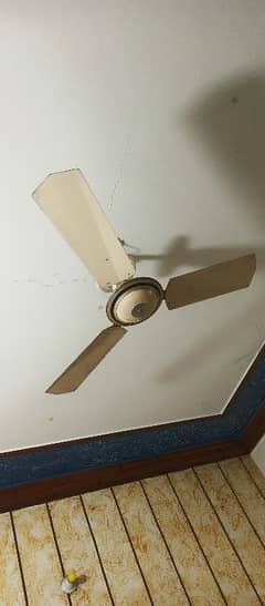 Celling Fan
