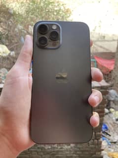 iPhone 12 Pro Max official PTA approved