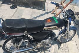 bilkul fit 10 on 10