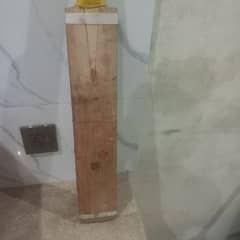 hard ball cricket bat