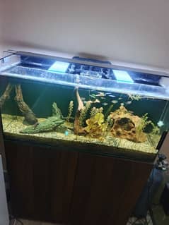 planted sump aquarium automatic equipment s